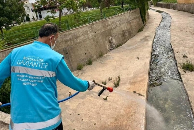 Gaziantep Büyükşehir, ilaçlama çalışmalarını arttırdı