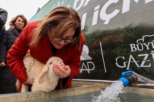 GAZİANTEP BÜYÜKŞEHİR İLE MERALARDA HAYVANLAR TEMİZ SUYA KAVUŞUYOR