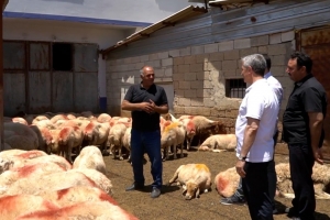 Şahinbey Belediyesi’nin destekleri ile hayvancılık gelişiyor