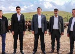 Başkan Yılmaz Kurbanlık Fiyatlarını Duyurdu