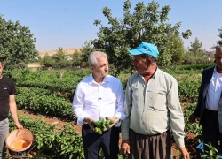 Şahinbey’den çiftçilere 53 milyondan fazla fide desteği.