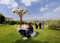 Hasan Kalyoncu Üniversitesi, UI GreenMetric’te Son 6 Yılda 234 Basamak Yükseldi